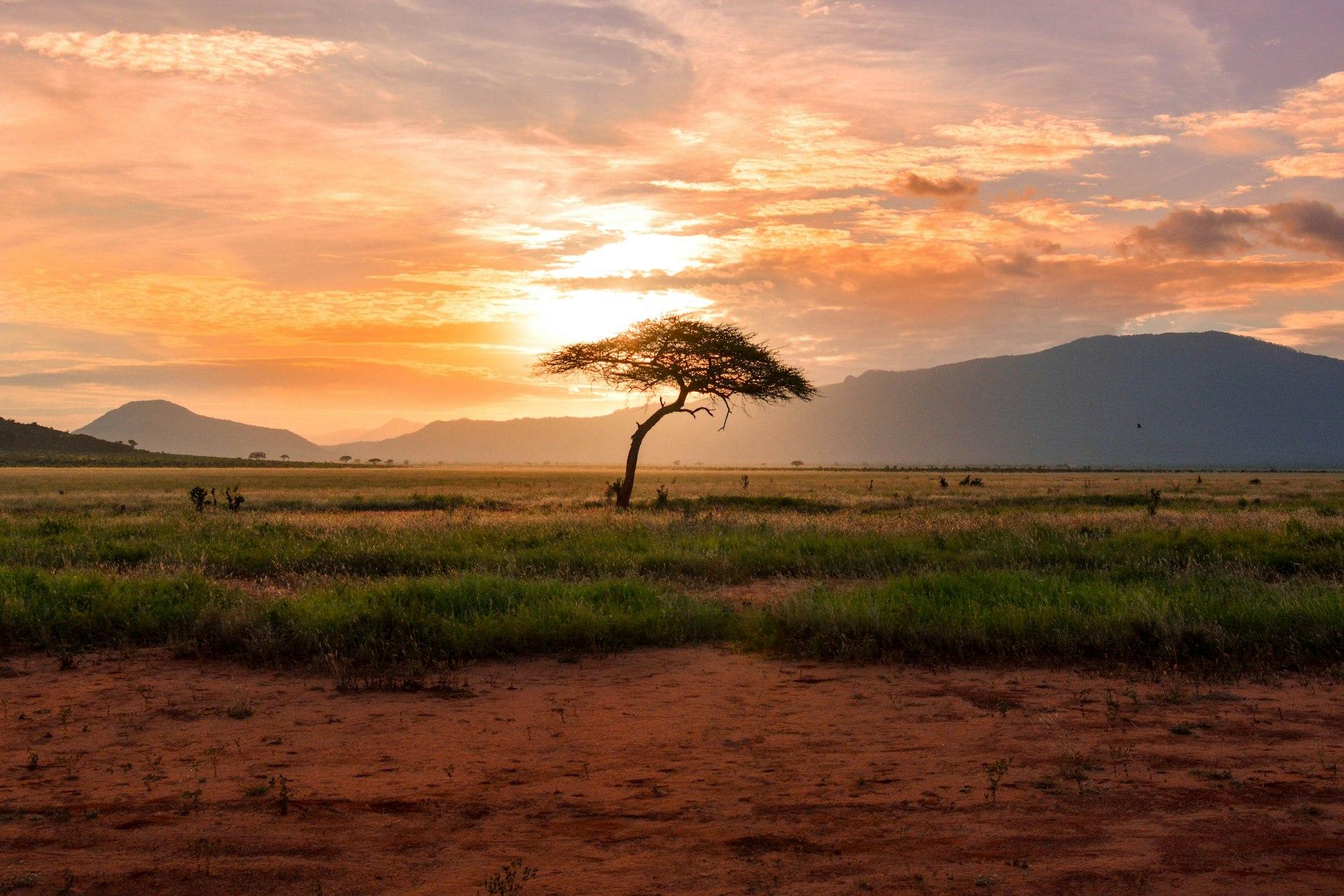 Paysage africain — horizon économique